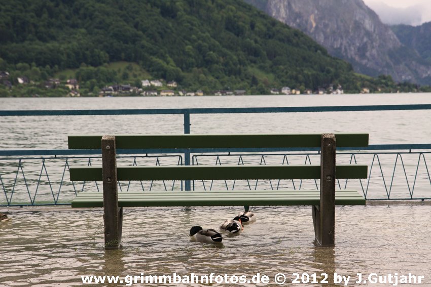 Schwimmausflug in Gmunden